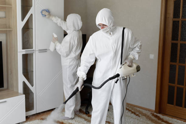 Best Residential Mold Removal  in Clark Mills, NY